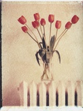 Vase of Tulips on a Radiator
