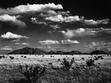 Desert Landscape  1969