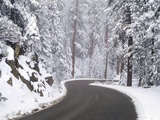 Winter Road in Yosemite National Park