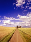 Dirt Road Stretching Under Cloudy Skies