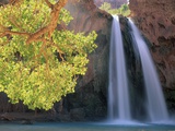Havasu Falls