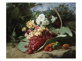 Nature's Bounty