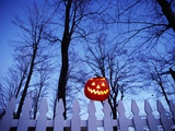 Lit Jack o'-Lantern Perched on Picket Fence