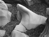 Beach Rock Formation  1966