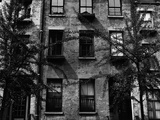 Trees and Windows  Manhattan  1944