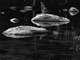 Rocks in a Shallow Lake by Brett Weston