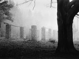 Stone Pillars in Clearing