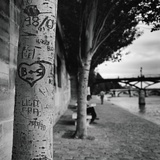 Graffiti on Tree Trunk