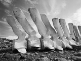 Whale Bones in Antarctica