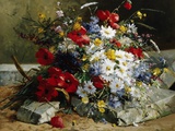Daisies  Cornflowers and Poppies
