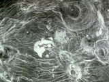 Arachnoid Volcanoes on Venus