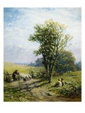 A Beautiful Summer's Day