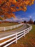White Wooden Fence Along Farm