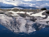 Frozen Lake Reflecting Mt Rainier