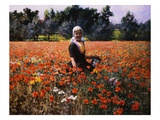 The Poppy Field