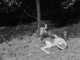 Boy Fishing in the Country