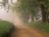 Fog Over Rural Road in Great Smoky Mountains