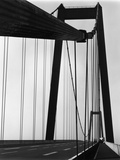 Suspension Bridge  California