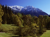Woodlands in Bavarian Alps