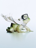 Thrill-seeking frog