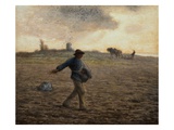 The Sower