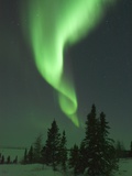 Aurora Borealis in Canada's Wapusk National Park