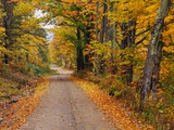 New England Road in Autumn