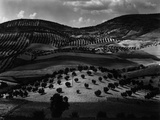 Guatemala Landscape  1968