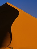 Tree and Sand Dune  Namib Desert