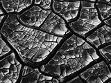 Dry Cracked Mud