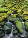 Stream Flowing Through Moss Covered Rocks