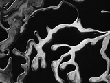 Frozen Liquids