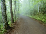 Road in Great Smoky Mountains National Park