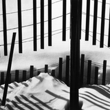 Fence in Snow  1972