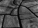 Mud Cracks by Brett Weston