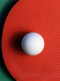 Ping Pong Ball and Paddle