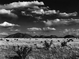 Desert Plain