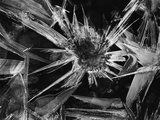 Ice Crystal  1965
