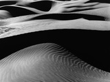 Dune Landscape