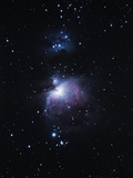 The Orion Nebula