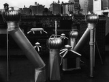 Nancy Newhall's Rooftop  New York City