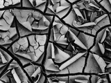 Mud Cracks by Brett Weston