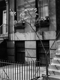 Brownstones by Brett Weston