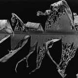 Banana Leaf  Honolulu  1980