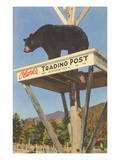 Bear  Clark's Trading Post  Woodstock  New Hampshire