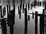 Piles in Fog  1968