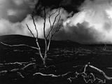 Volcano  1980
