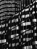 Window Reflections by Brett Weston