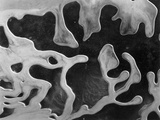 Liquid Abstraction  California  1956