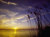 Sunset on the Barnegat Bay and Sea Oats
